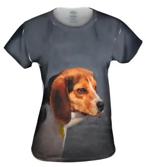 Dumbo Eares Beagle