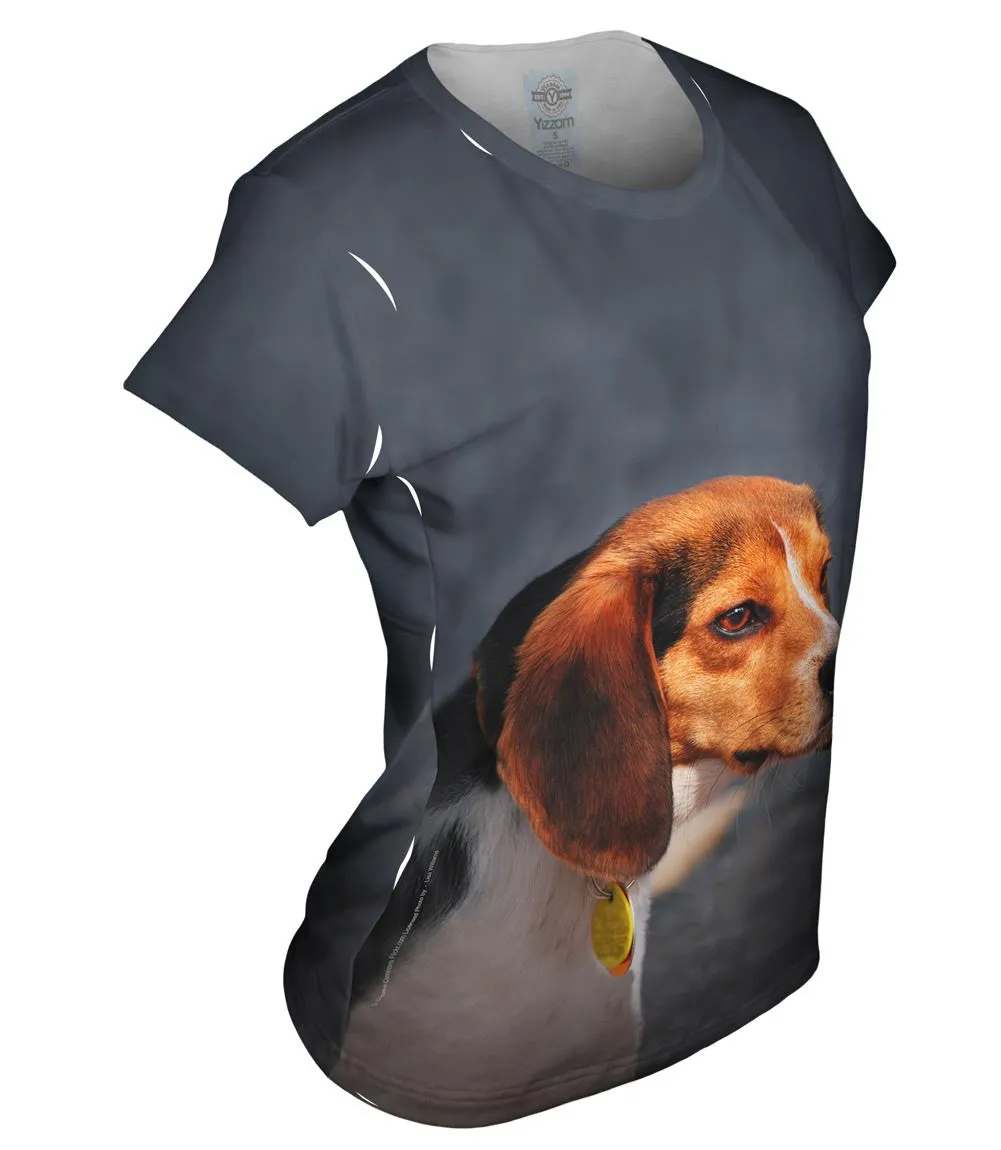 Dumbo Eares Beagle