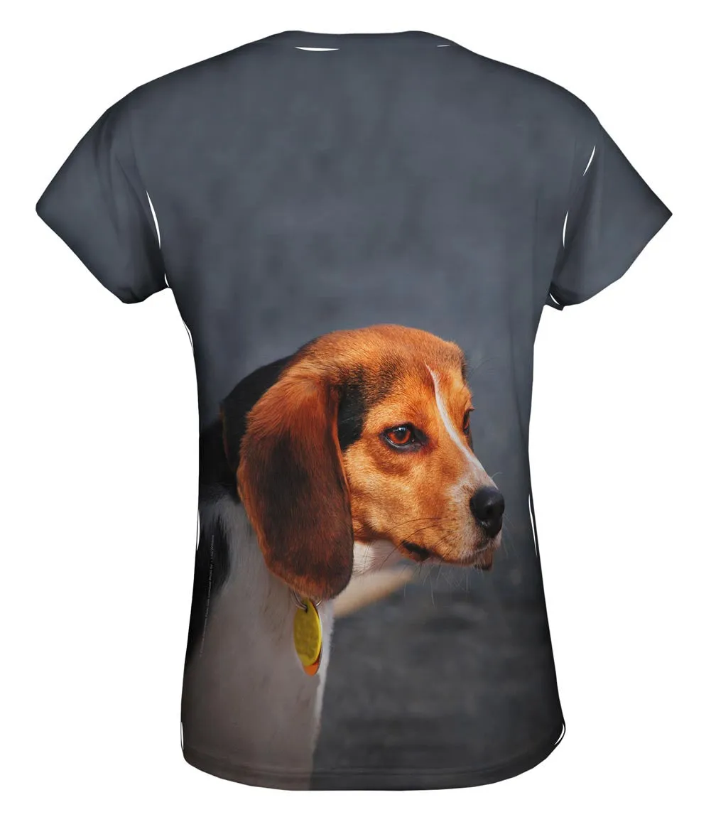 Dumbo Eares Beagle