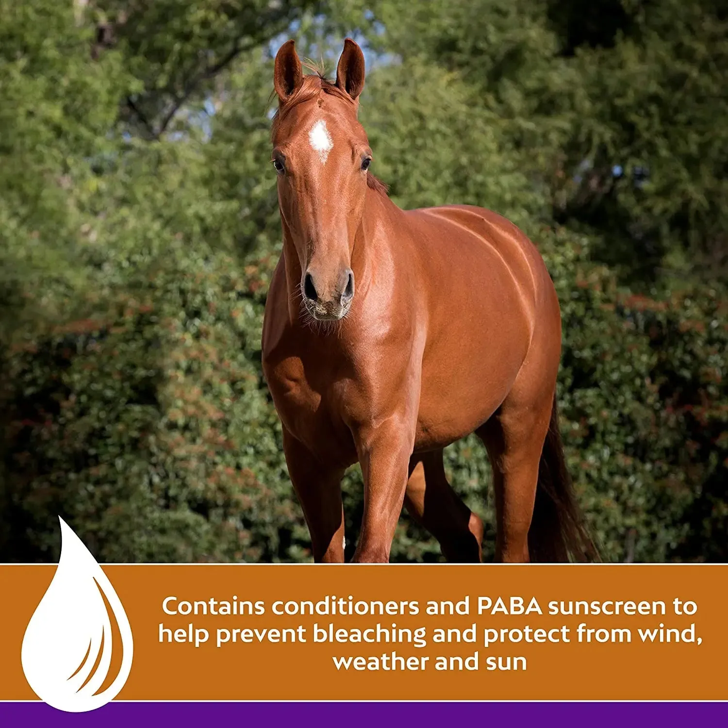 Farnam Vetrolin Shine Coat Conditioner and Shine Spray 64 oz.