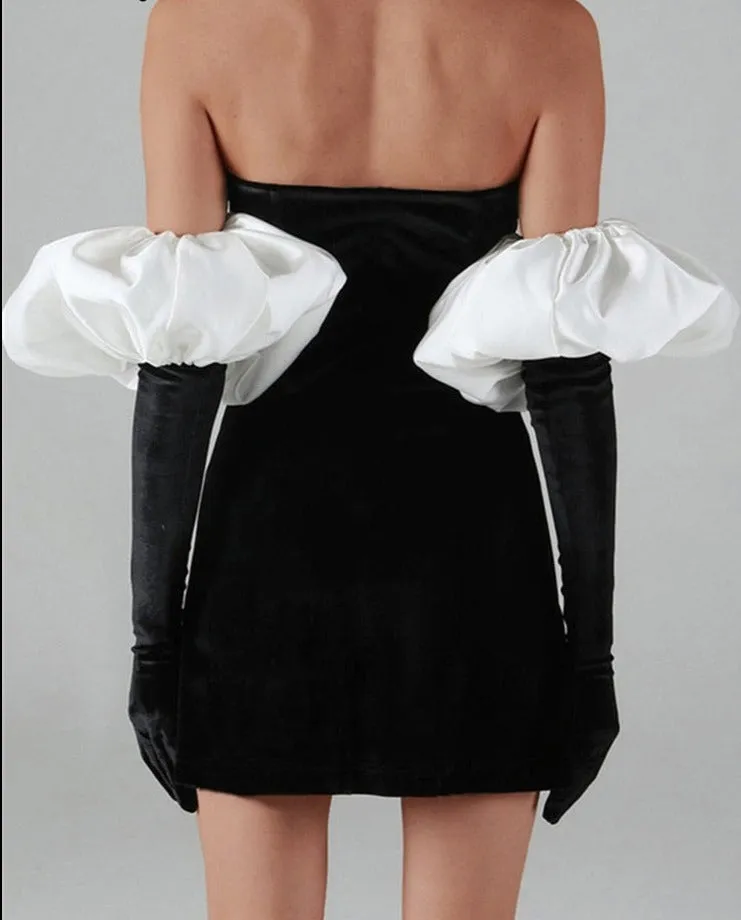 Puff Sleeve Elegant Dress
