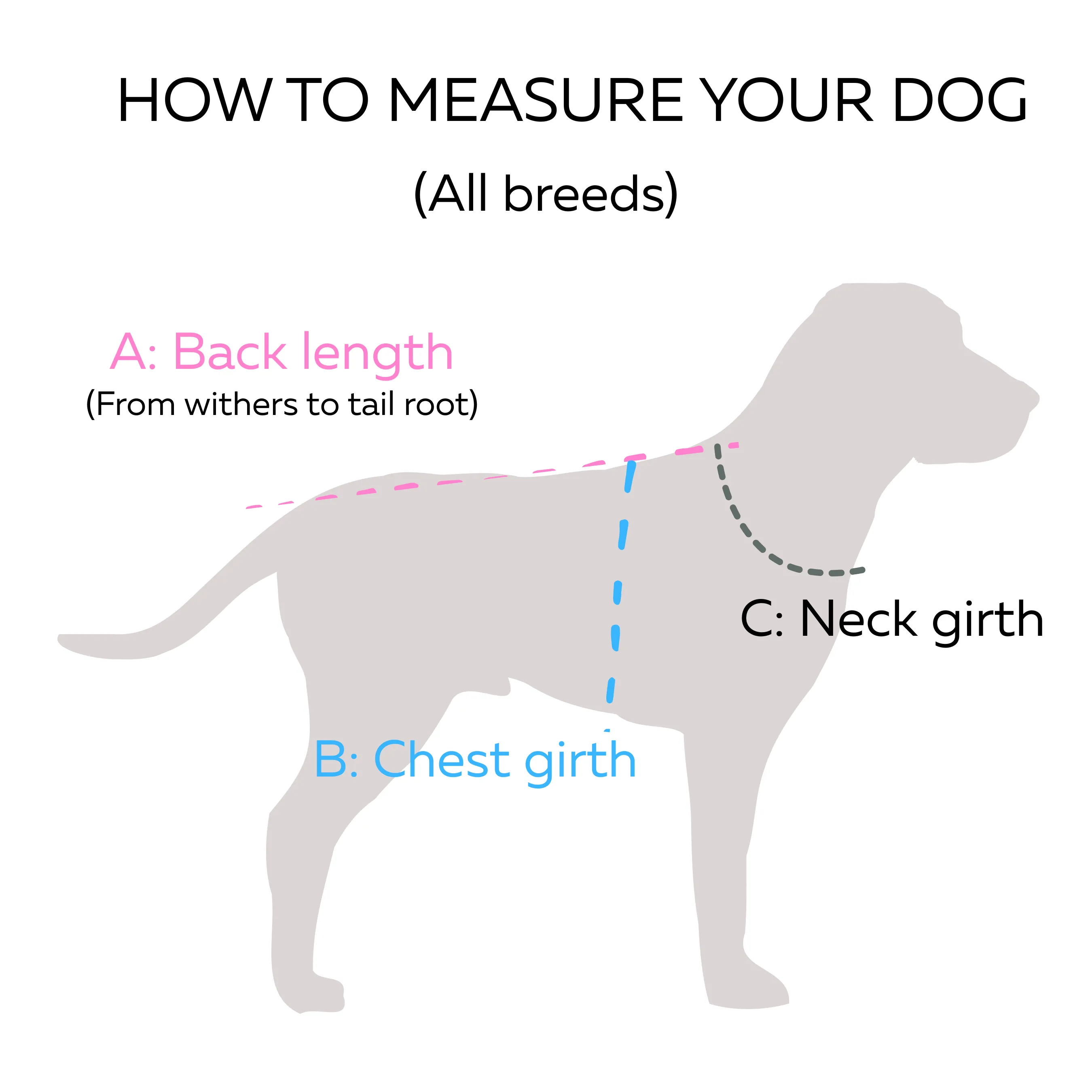 Turtleneck Dog Coat | Strawberry Shortcake